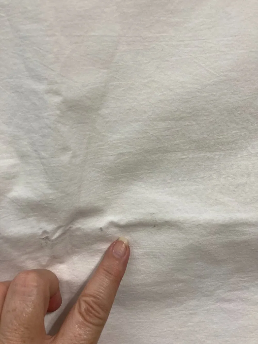 Share Pottery Barn Euro Cotton Pillow Cover Sham White Farmhouse 25x24